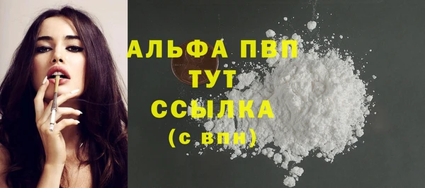 мет Протвино