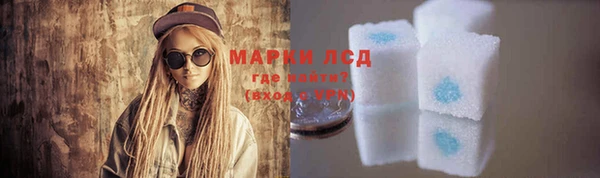 гашик Ессентукская