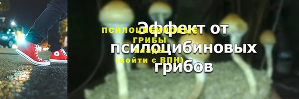 мет Протвино