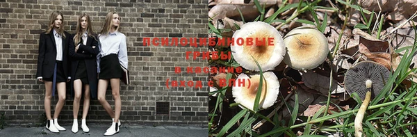 экстази Приозерск