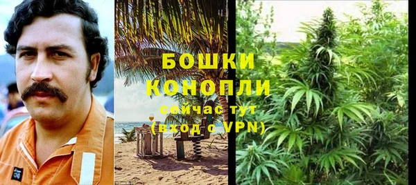 мет Протвино