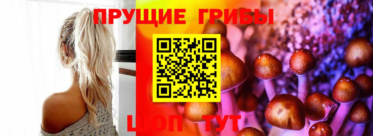 Галлюциногенные грибы MAGIC MUSHROOMS  Вход с VPN  Галлюциногенные грибы мухоморы  Таганрог 